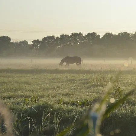 De Zaanse Gans Assendelft