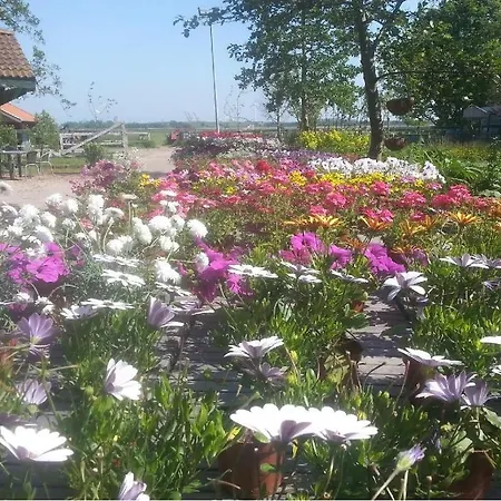 Oda ve Kahvaltı De Zaanse Gans Assendelft