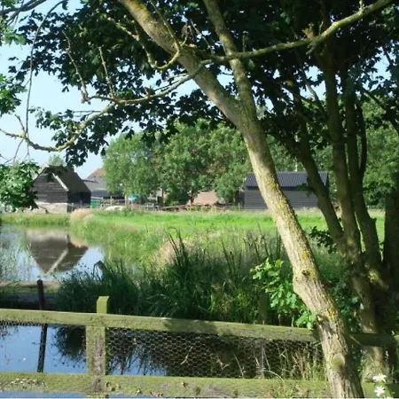 De Zaanse Gans Oda ve Kahvaltı