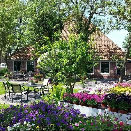 De Zaanse Gans Oda ve Kahvaltı *
