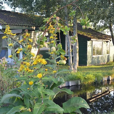De Zaanse Gans Bed & Breakfast