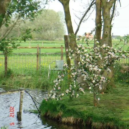 De Zaanse Gans B&B 어센더프트
