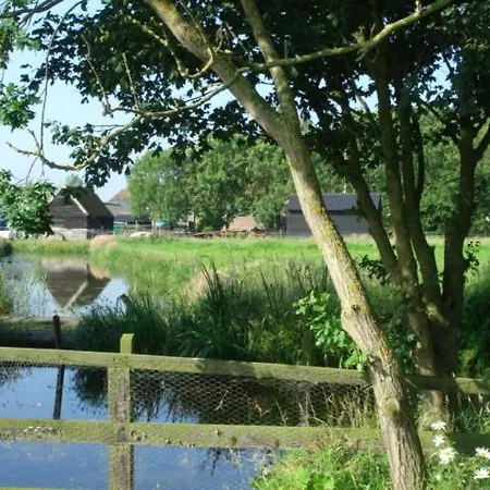 De Zaanse Gans Bed & Breakfast Assendelft